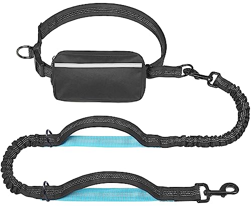 Best Dog Lead for Running