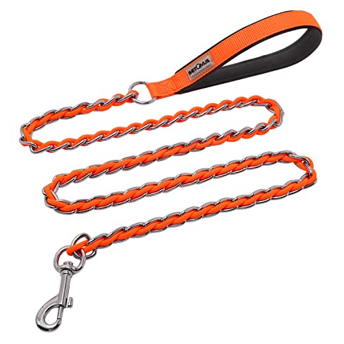 Best Dog Leash for Chewers