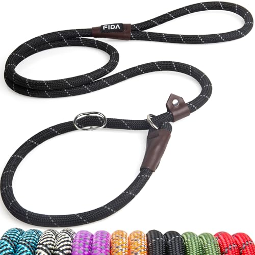 Best Dog Leashes for Training