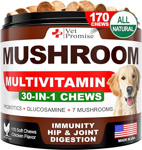 Best Dog Mushroom Supplement