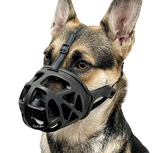 Best Dog Muzzle for Biting