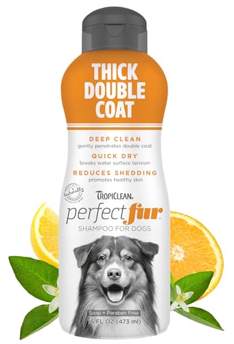 Best Dog Shampoo for Huskies
