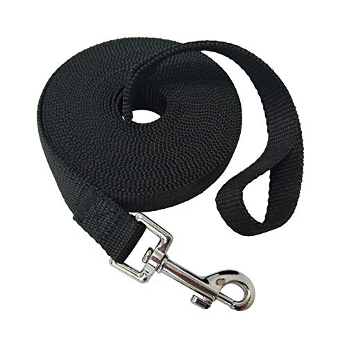 Best Dog Training Leash