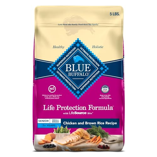Best Dogs for Older People: Top Foods for Senior Canine Companions