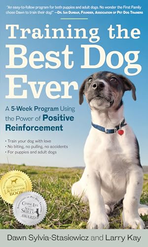 Best Dogs for Training