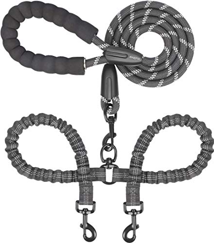 Best Double Leash for Dogs
