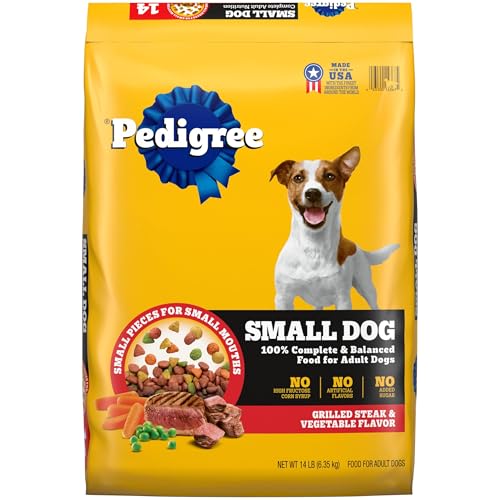 Best Dry Dog Food Brands 2025