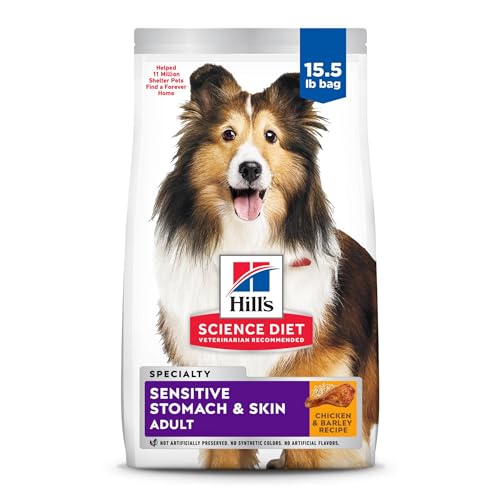 Best Dry Dog Food for Sensitive Stomachs