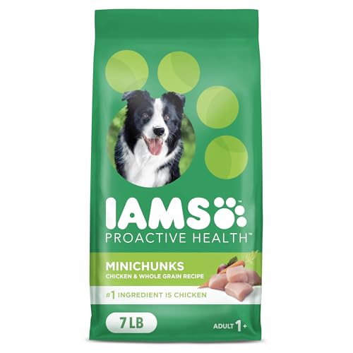 Best Dry Dog Food Recommended by Vets