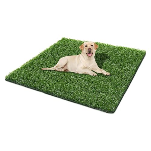 Best Fake Grass for Dogs