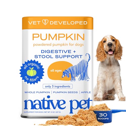 Best Fiber Foods for Dogs