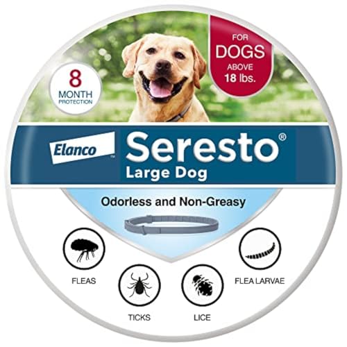 Best Flea Collars for Dogs: Top Picks for Effective Pest Control