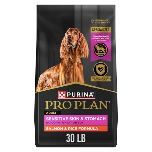 Best Food for Dog Allergies