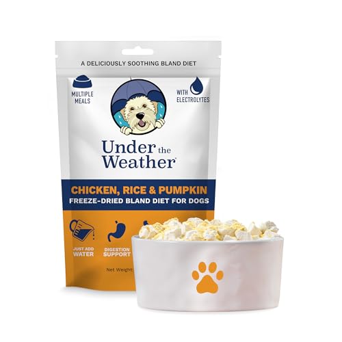 Best Food for Dogs Upset Stomach