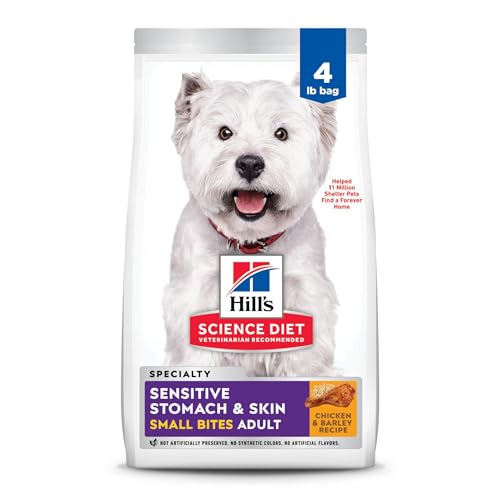 Best Food for Dogs With Upset Stomach