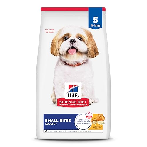 Best Food for Elderly Dogs