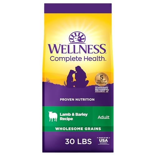 Best Food for Malabsorption in Dogs