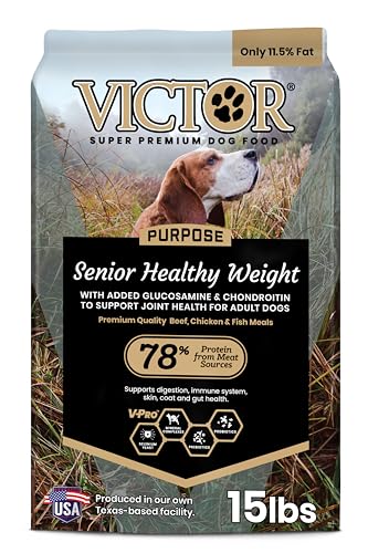 Best Food for Overweight Senior Dogs