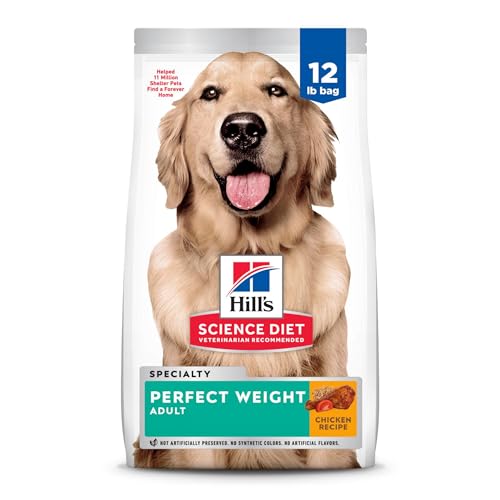 Best Food for Weight Loss in Dogs