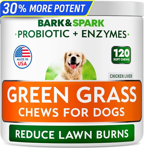 Best Grass for Dog Urine