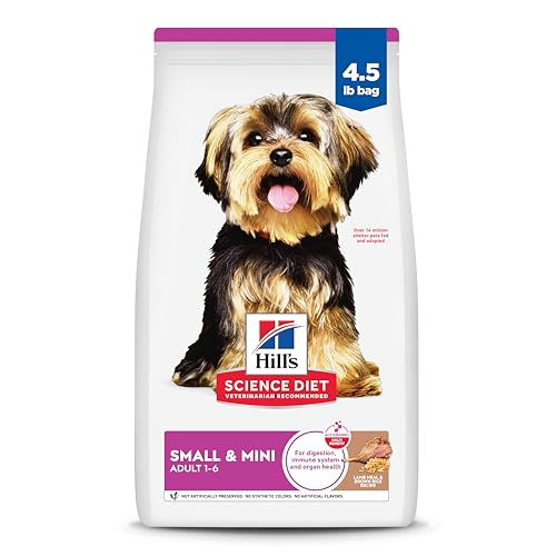 Best Healthy Dog Food for Small Dogs