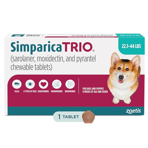 Best Heartworm Flea Tick Prevention for Dogs