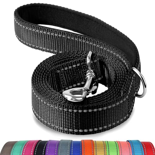 Best Heavy Duty Dog Leash