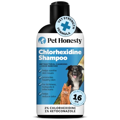 Best Itch Shampoo for Dogs