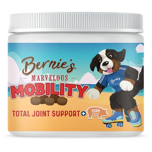 Best Joint Supplement for Bernese Mountain Dogs