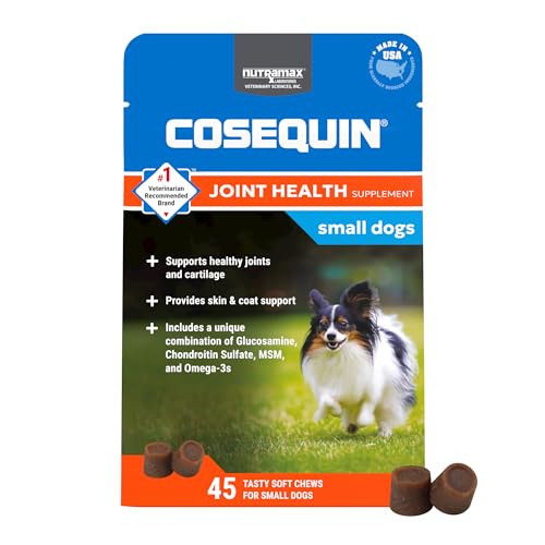 Best Joint Supplement for Small Dogs