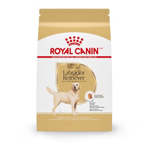 Best Lab Dog Food