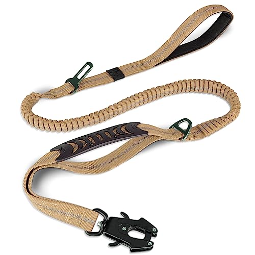 Best Leash for Reactive Dogs