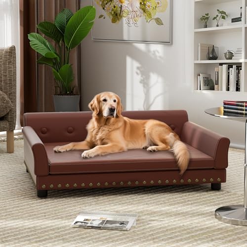 Best Leather Couch for Dogs
