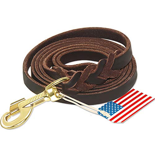Best Leather Dog Leash Made in Usa