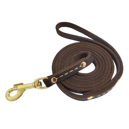 Best Leather Dog Leash