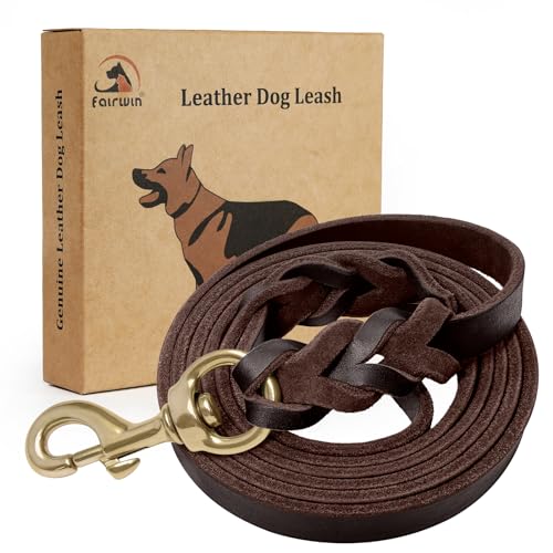 Best Leather Leash for Dog Training