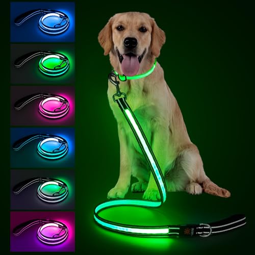 Best Light Up Dog Leash