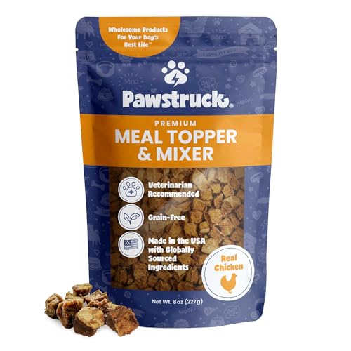 Best Meat for Dogs to Eat