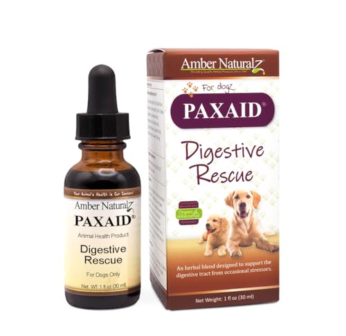 Best Medicine for Parvo in Dogs