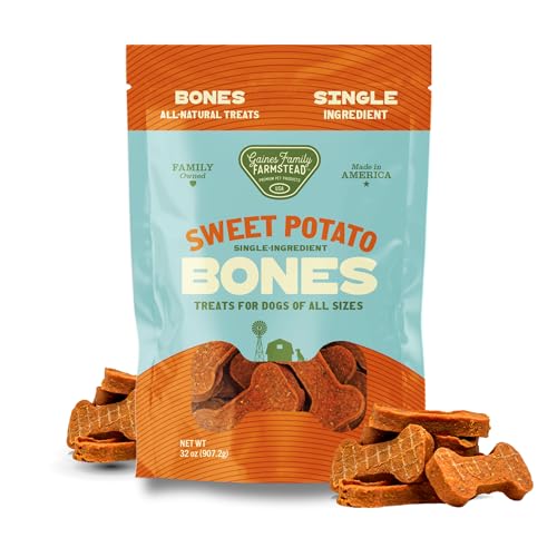 Best Medium Sized Dogs for Families