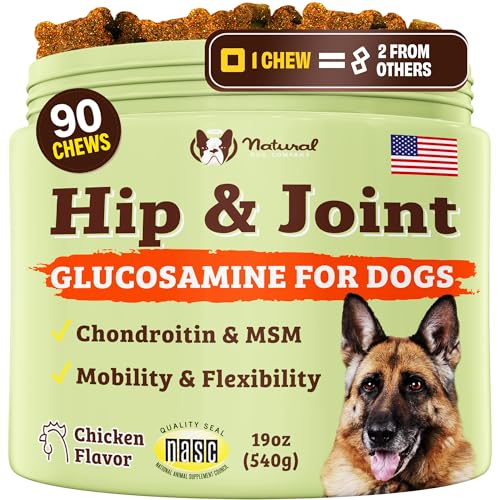 Best Natural Joint Supplements for Dogs