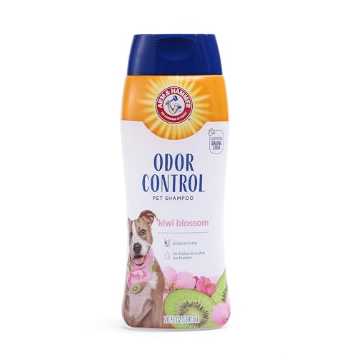 Best Odor Shampoo for Dogs