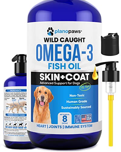 Best Omegas for Dogs