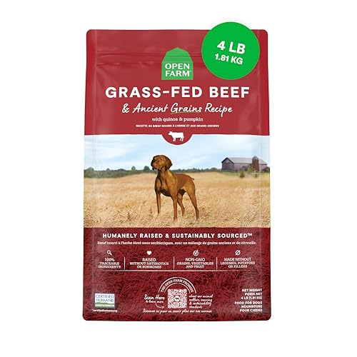 Best Organic Food for Dogs