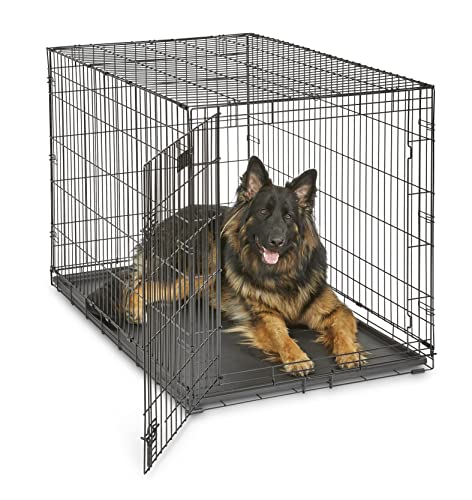 Best Pet Crates for Dogs