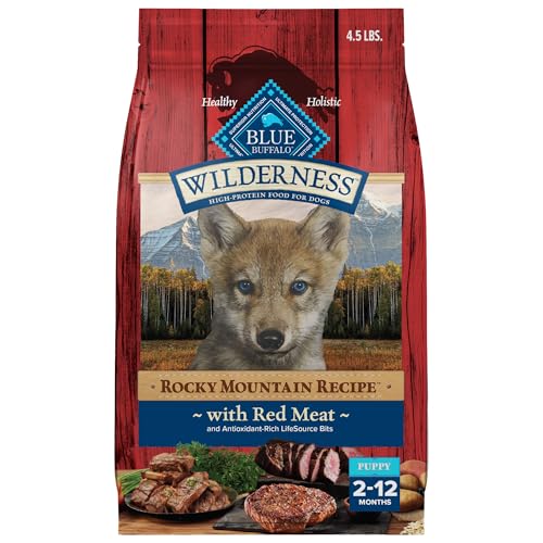 Best Puppy Food for Bernese Mountain Dogs