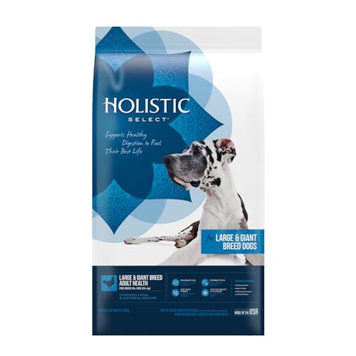 Best Rated Holistic Dog Food