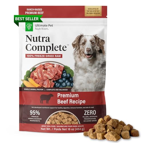 Best Raw Dog Food