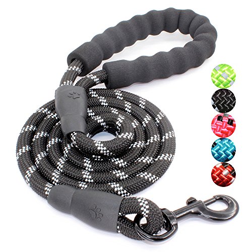 Best Reflective Dog Leash