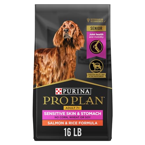 Best Senior Dog Food for Sensitive Stomach
